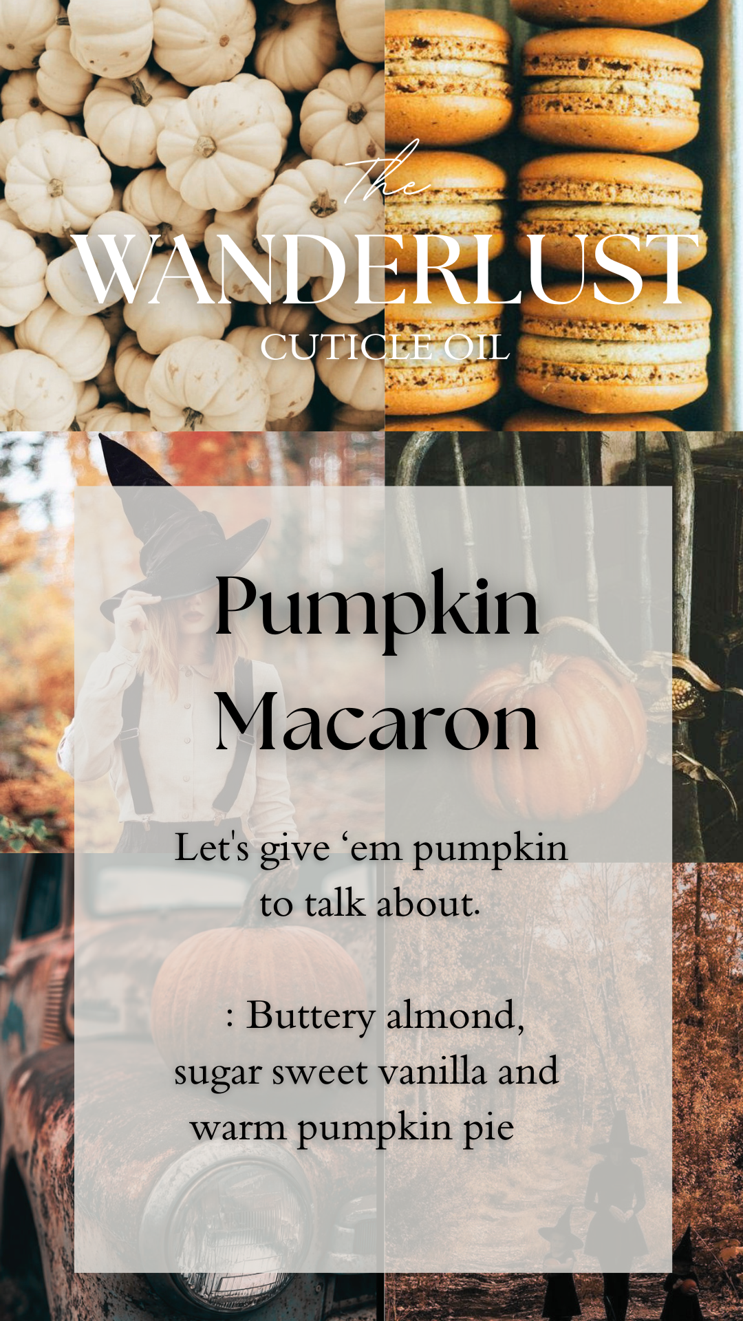 Pumpkin Macaron                       Pre Order