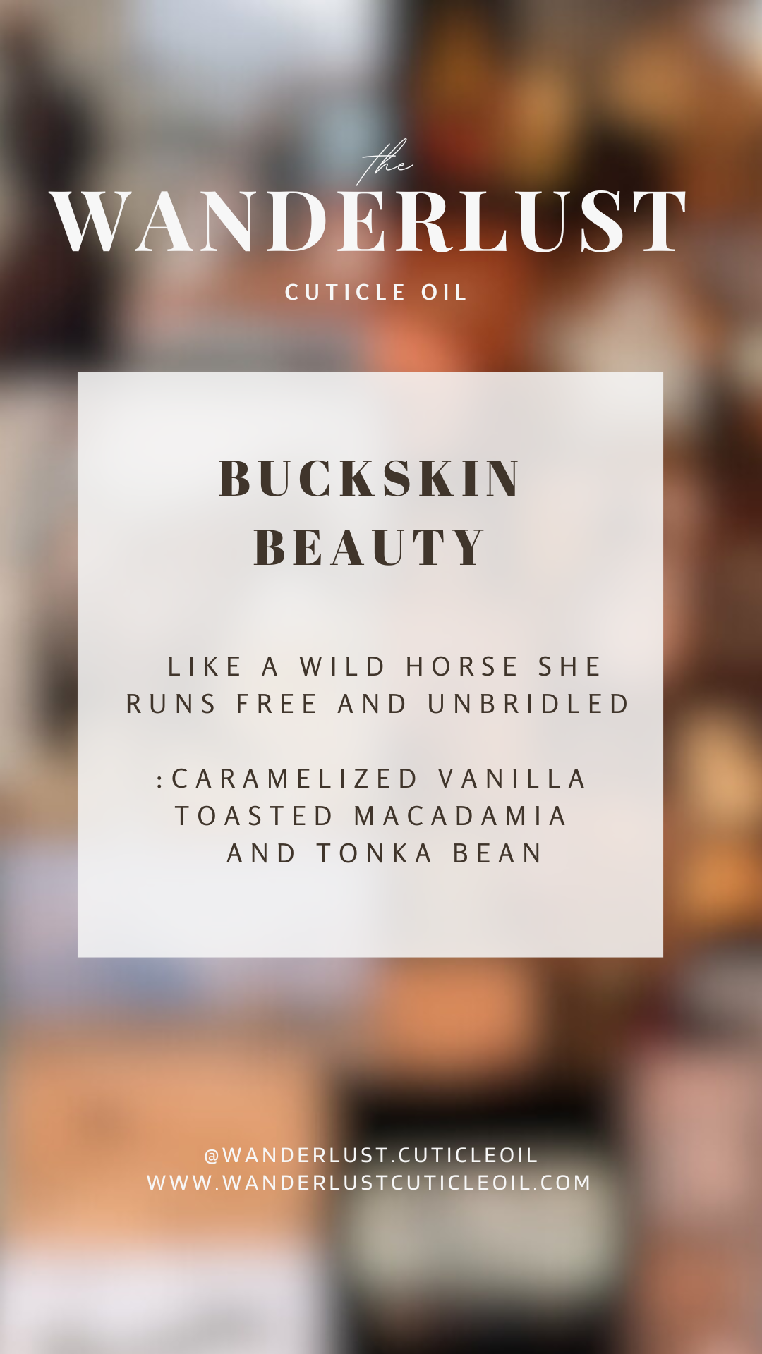 Buckskin Beauty